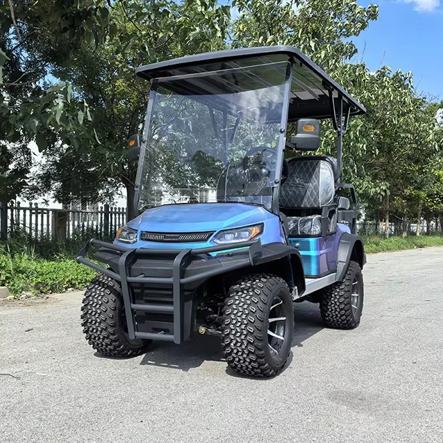 mini golf car Factory Sales electric golf car luxury golf car