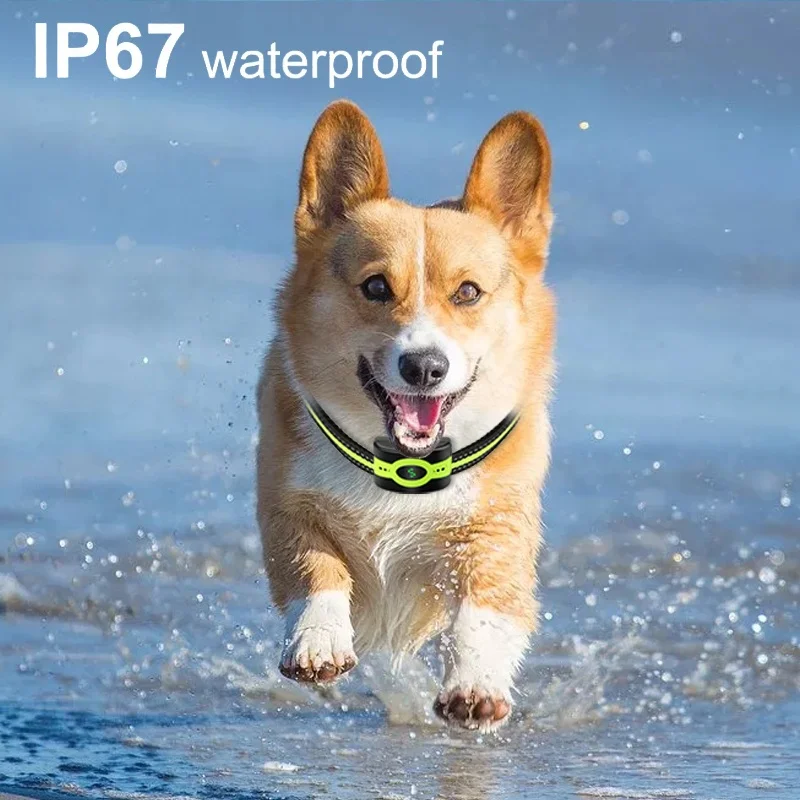 Amazon Popular Cost-effective No Shock Bark Collar Waterproof 100% Humane No Bark Collar Device Rechargeable Anti Bark Collar