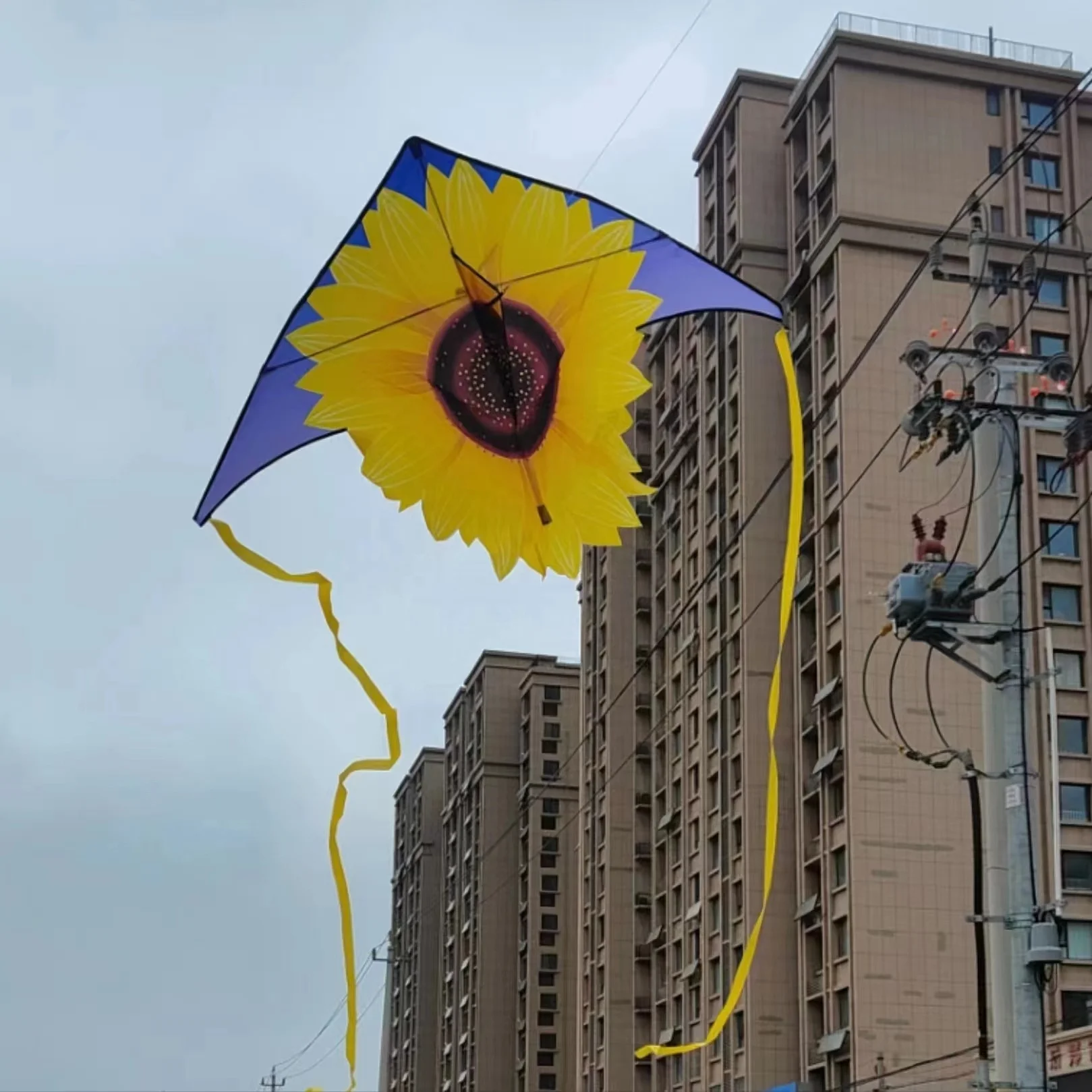 Wholesale Polyester Fabric Kite Cloth Delta Shape With Good Quality