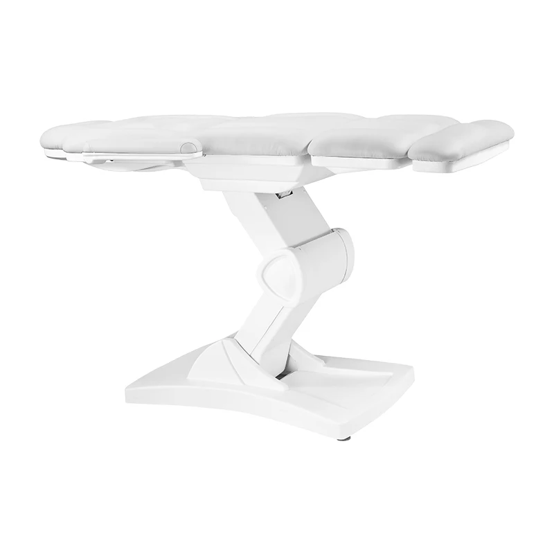 
beauty bed electric facial bed 4 motors TS-2152A 
