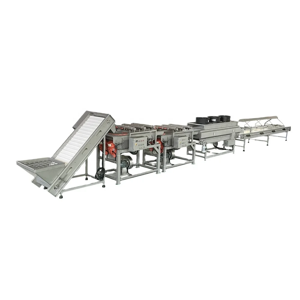 Factory direct price Palm dates washing drying syrup processing line for sale