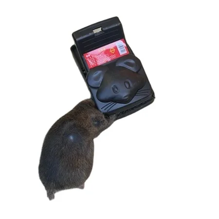 Rat Catch Black Plastic Hamsters Mouse Snap trap mouse trap
