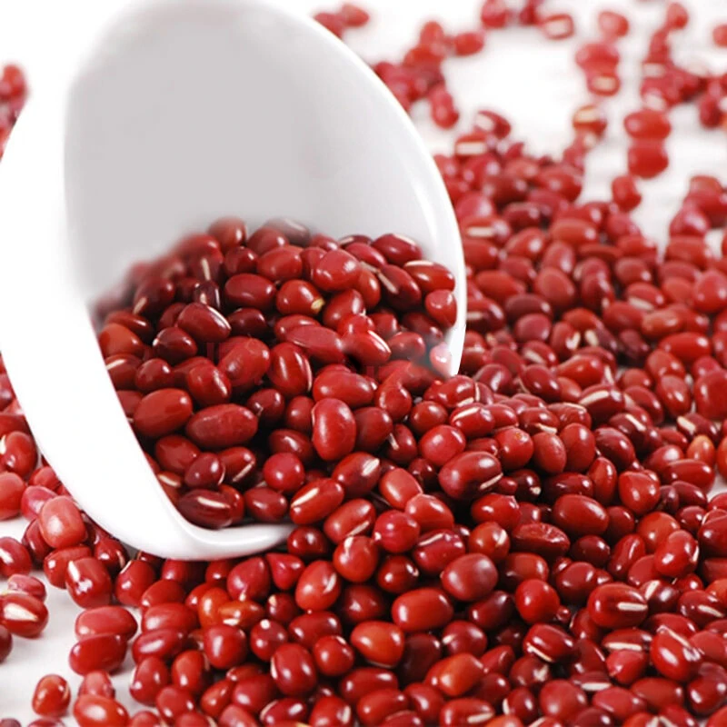 Green Mung Beans / Cowpea/ Azuki Beans/ Moong Dal