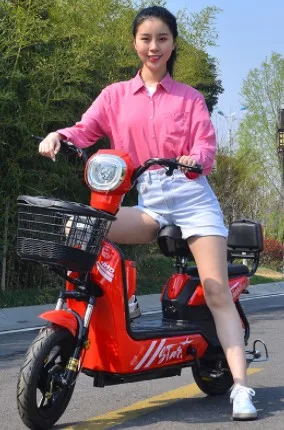 2021 New model popular in Vietnam two seats cheap 350W OEM ODM China electric city bike