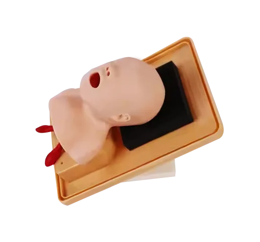 ADA-J2A PVC Anatomical Model Neonate Head for Trachea Intubation Training Nursing and Medical Science Use