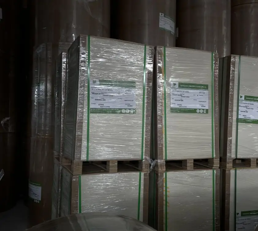 150 160 170 180 190 210 GSM + PE Coated Cup Paper Raw Material in rolls