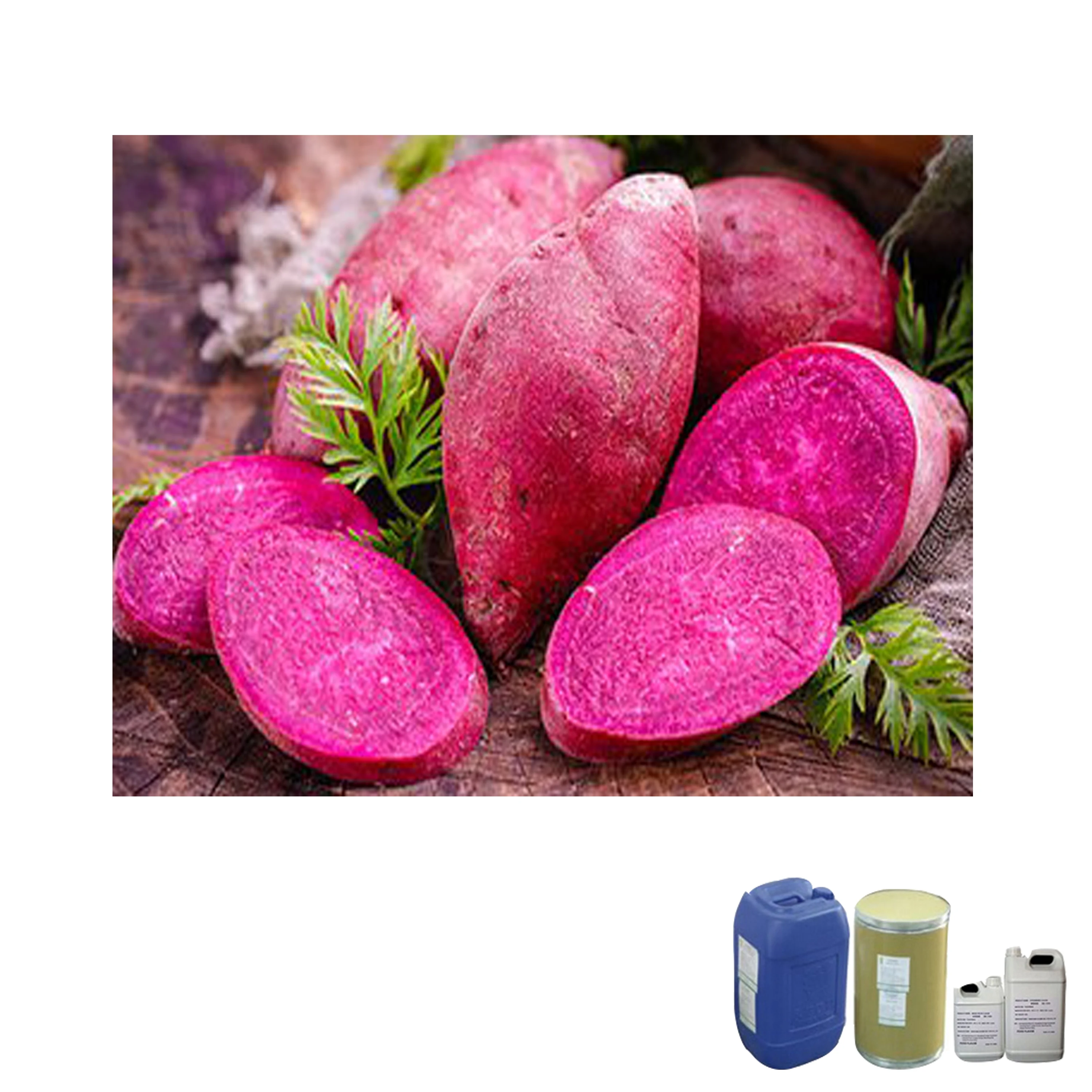 Hot Sale Ube Yam Flavor Powder for Beverage Drinks