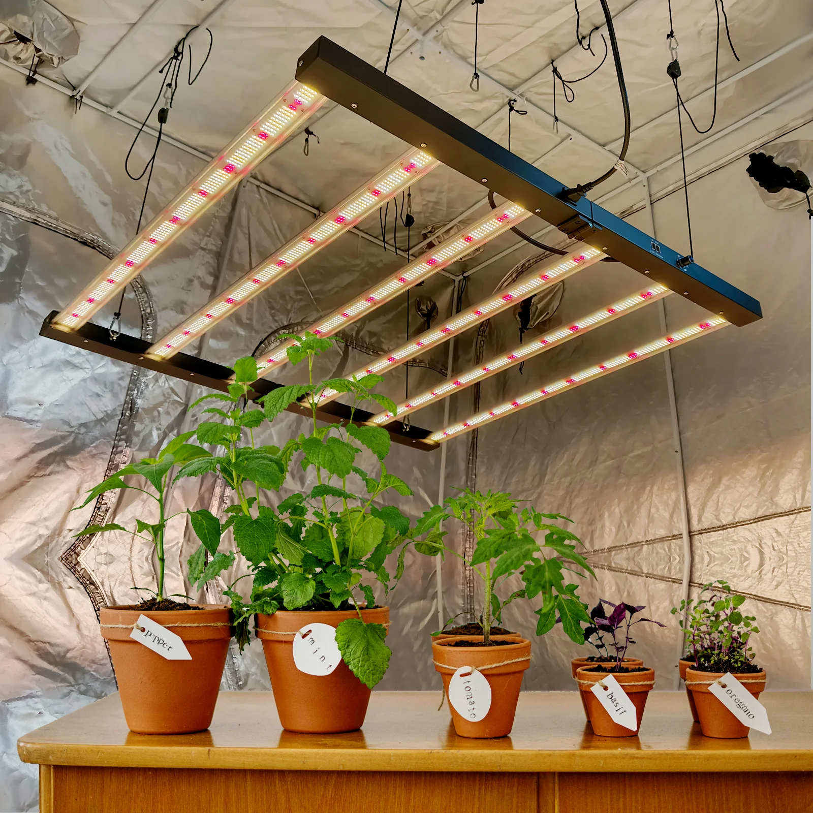 Samsung Lm301 Lm281B 8 6 Bar 640W 720W Led Full Spectrum Grow Light For Indoor Growing Lm301B Led Grow Light Mega Plus