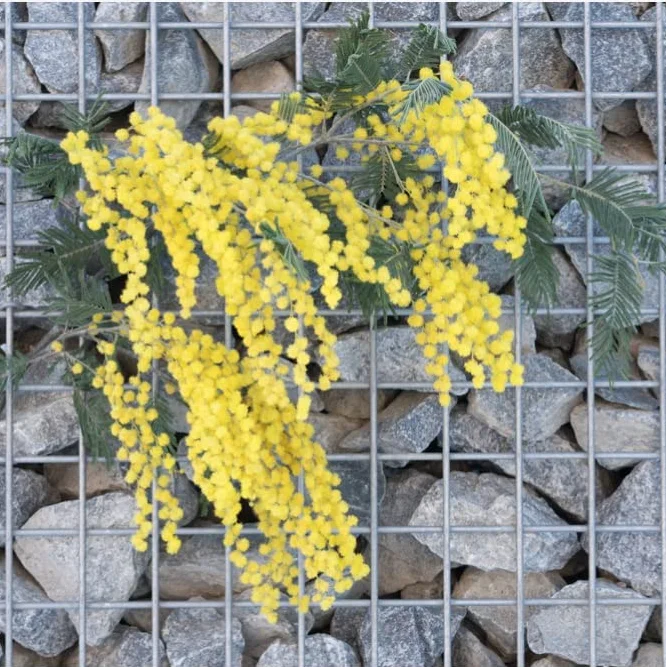 Welded Gabion Box Basket Fencer Wire 10 Gauge Size 2 inch by 2 inch