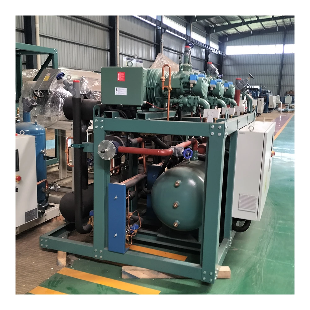 Screw compressor air cooled condensing unit for vegetable cold storage room