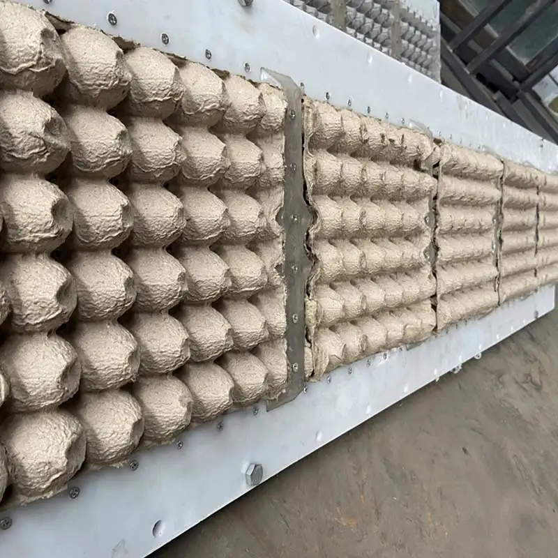 Fully automatic dryer west paper egg tray making machine product farming line use