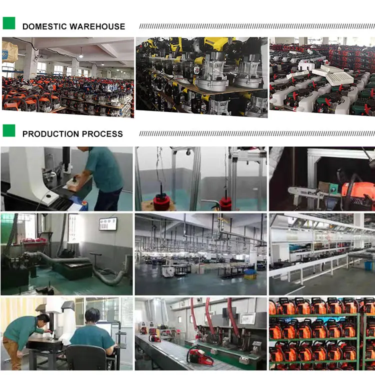 1700W 58CC Petrol Wood Cutting Small Motosierras A Gasolina Hydraulic Chainsaw