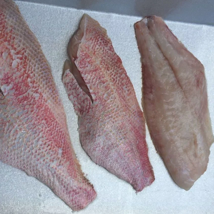 Good Sale from Indonesia Frozen Red Snapper Fillet