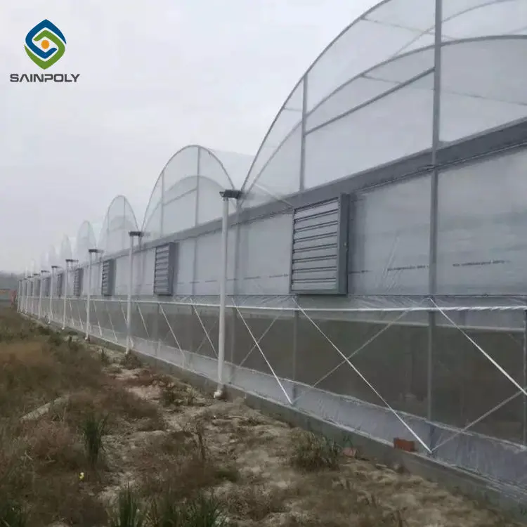 Политуннельное сельскохозяйственное оборудование Гидропонные тепличные системы