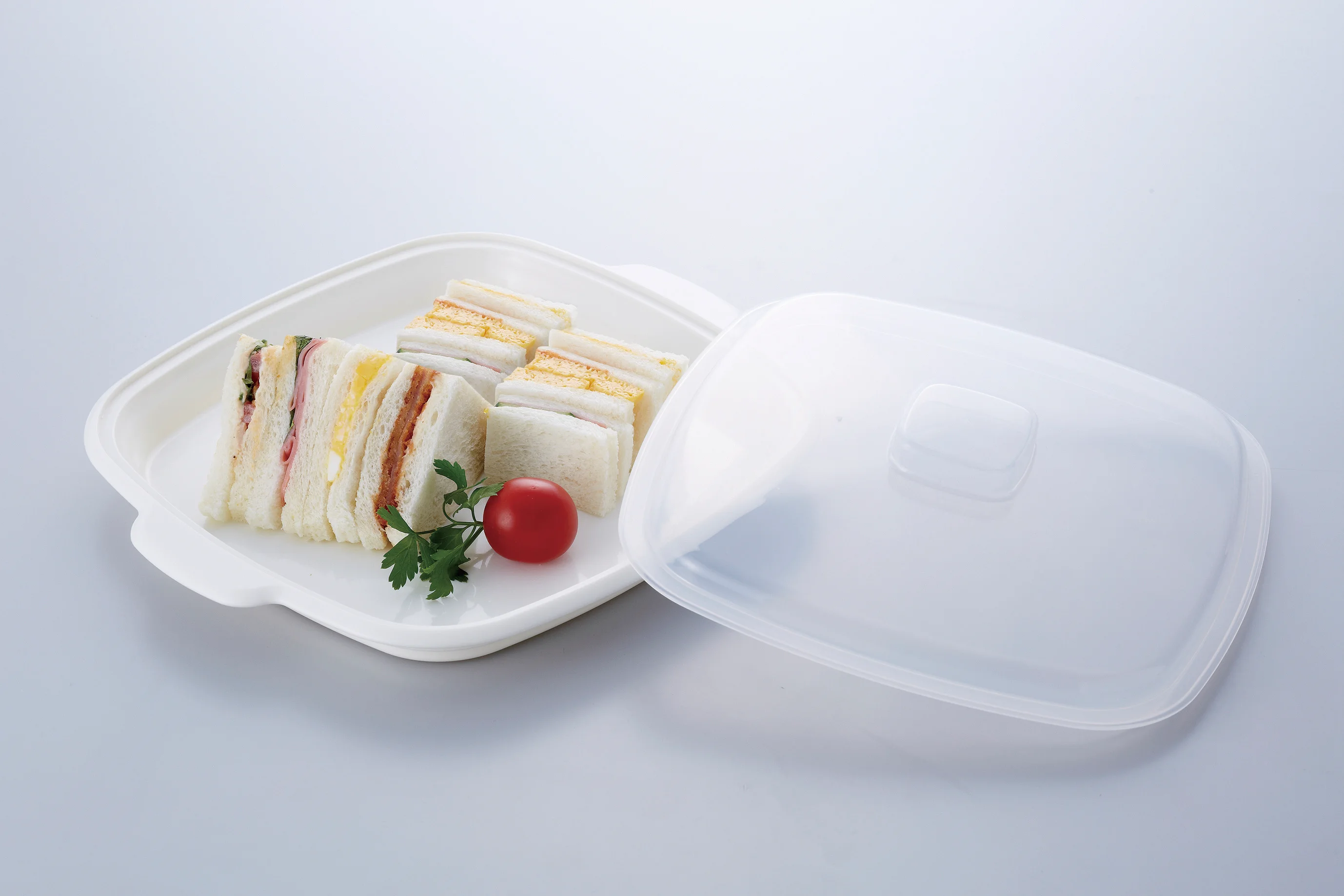 Japanese wholesale high quality microwave egg electric food steamer