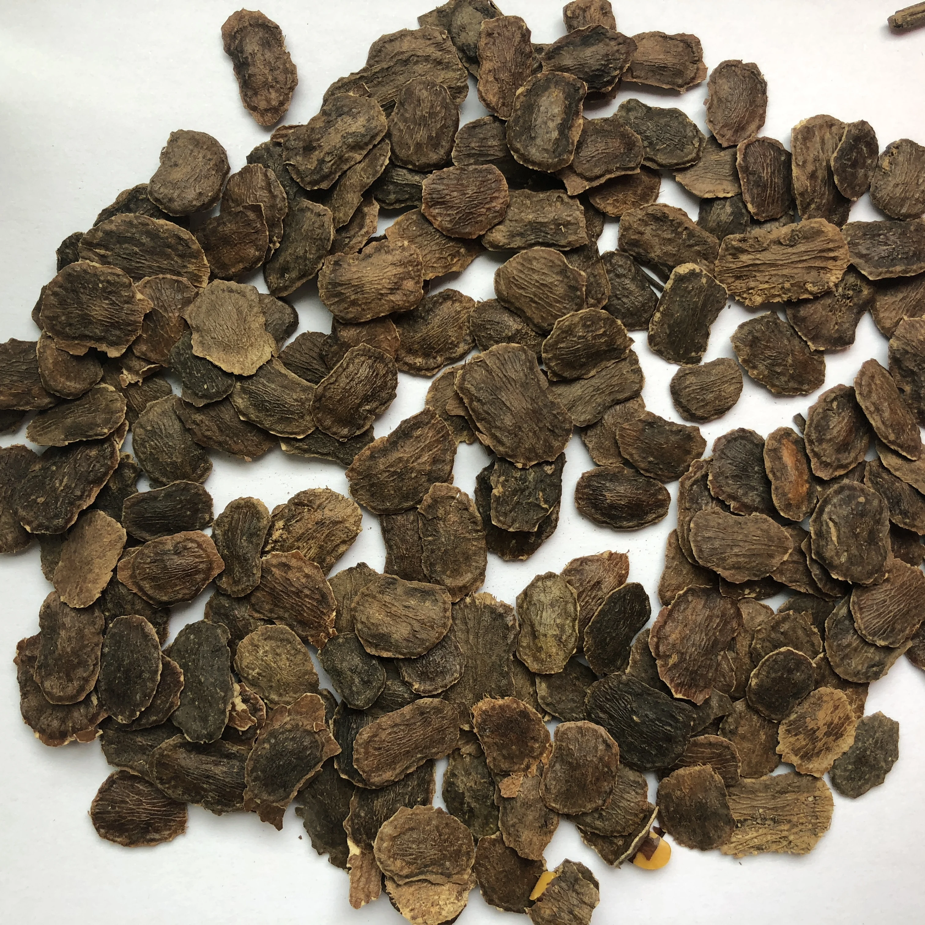 
S345 Supply Hai Nan Dalbergia Odorifera Seeds For Planting 