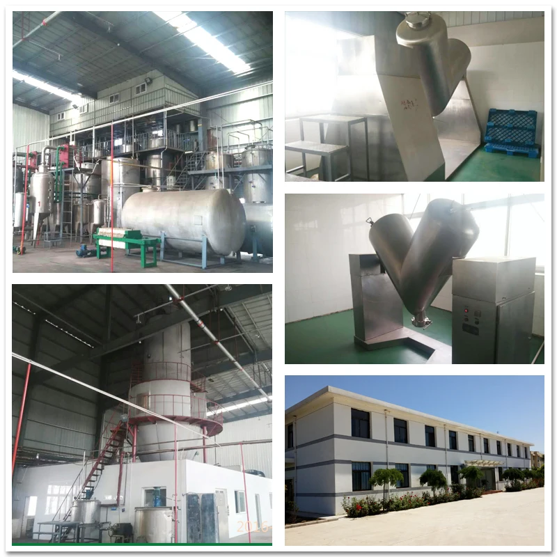 
Red Ginseng Root Extract Ginsenoside 10% 