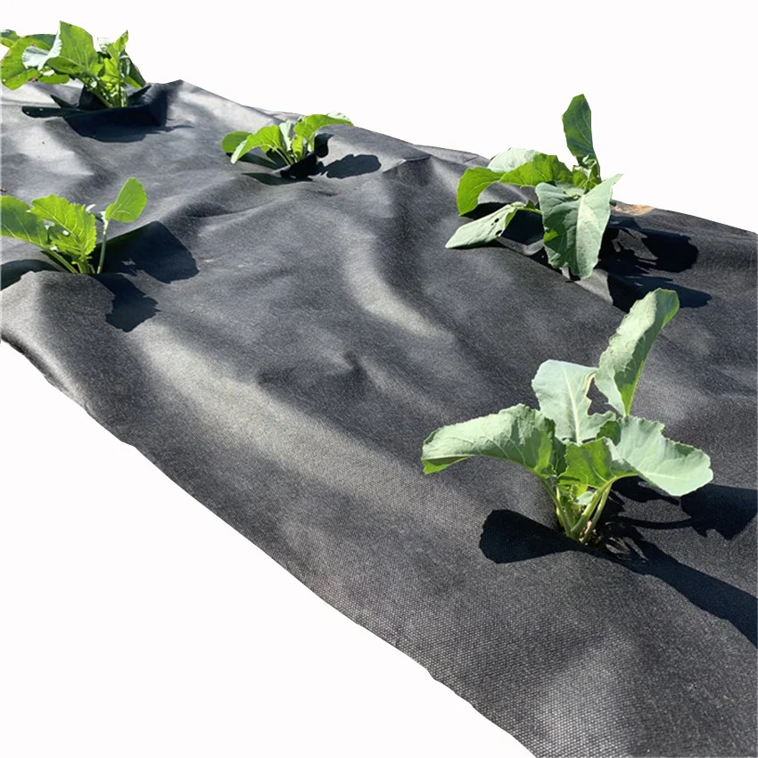 Черная ткань для сельского хозяйства