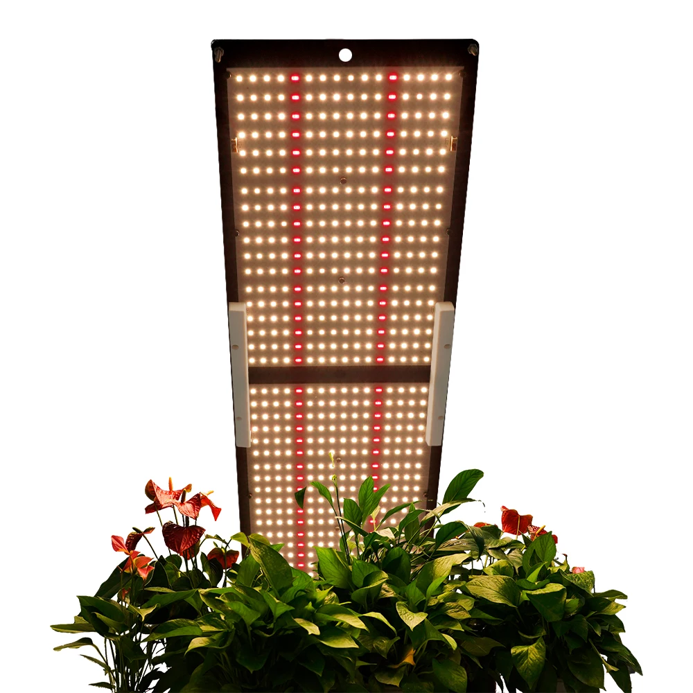 New arrival Samsung lm301h full Spectrum LED Grow Light with waterproof connectors