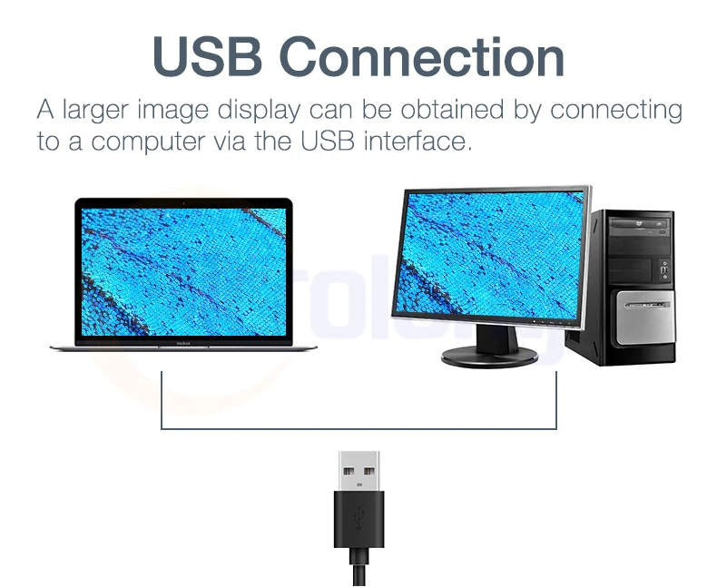USB microscope1.jpg