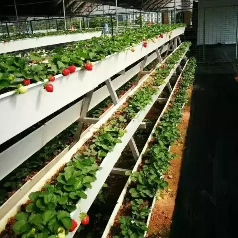 Food Grade Commercial Greenhouse Strawberry Planting Gutter Agricultural Equipment With Hydroponic Growing System