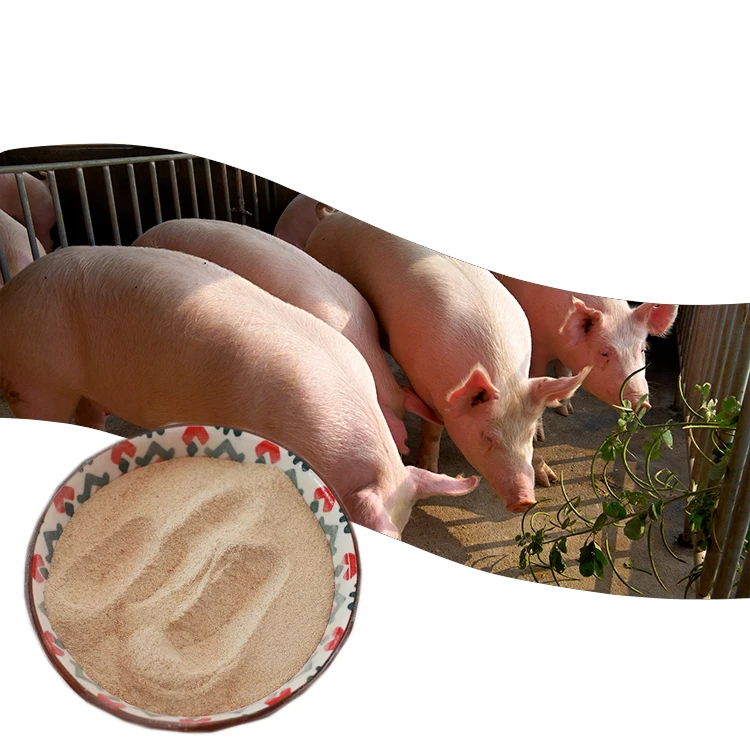 Best Price Feed Enzyme no antibiotics Supplier Swine Sows Pigs Animal Additive for Improve the sow productivity