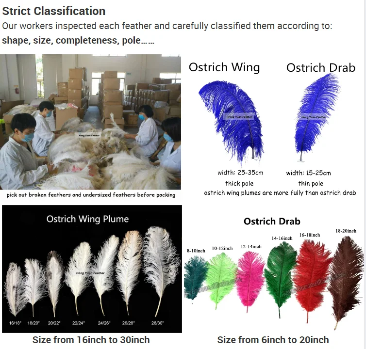 Bulk 65-70cm Dyed Decorative White Black Plumewholesaler 26/28 Inch Centerpieces Ostrich Feathers for Wedding Decoration