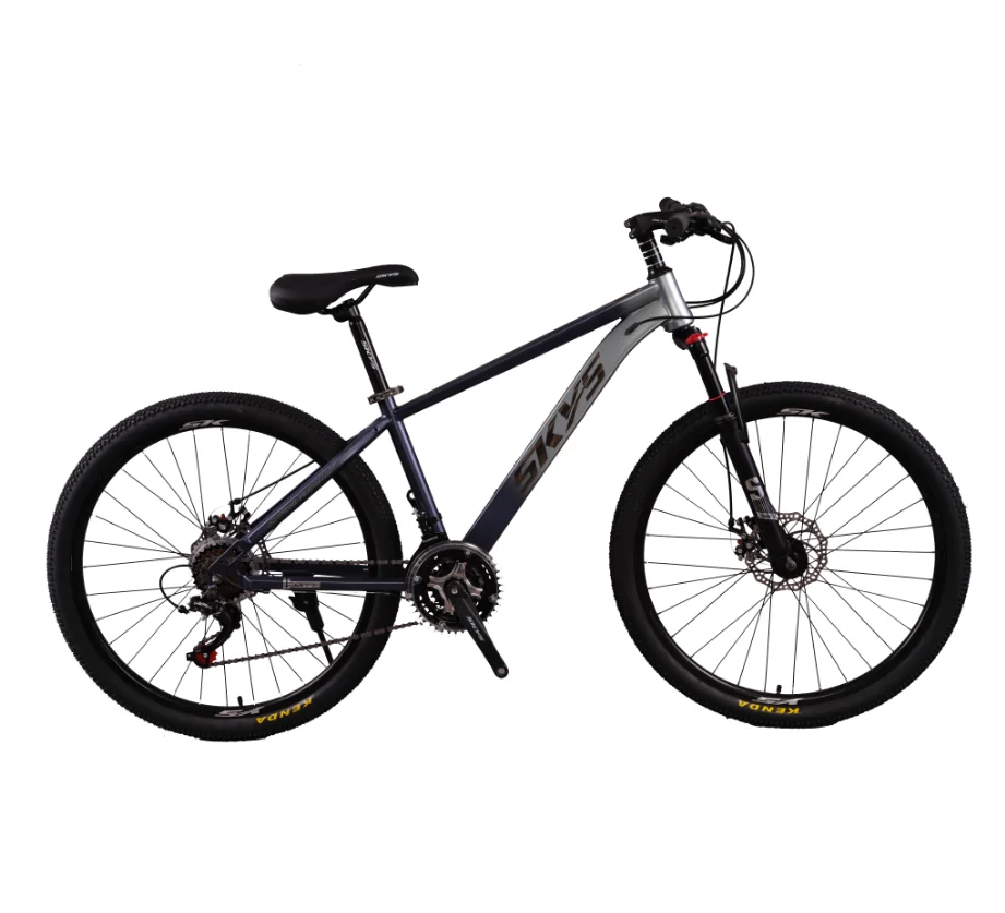 Fast Delivery OEM Adult  Mountain Bikes/29inches Mountain Bike/Steel Mountain Bike for Sale