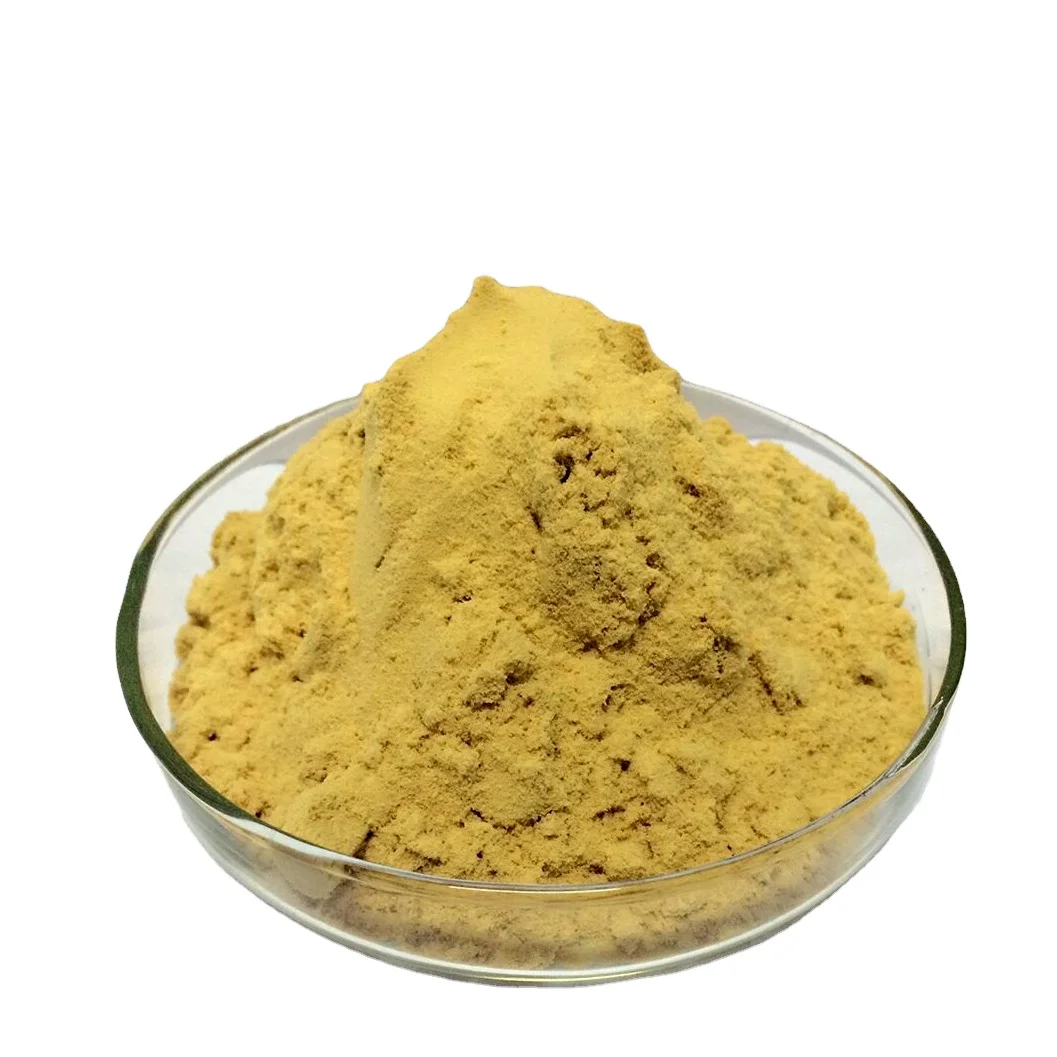 Food Grade Alpha Amylase Enzyme GMP stander