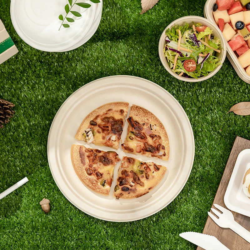 Custom 100% Compostable 9 10 Inch Round Heavy Duty Plates Sugarcane Paper Plates 3 Compartment Eco-friendly Disposable Camping