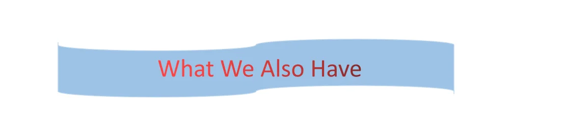 what we also have.jpg