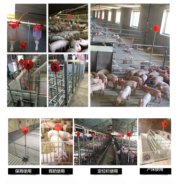 Drinking Bowl Water Troughs Livestock Feeding Pig Animal Drinker