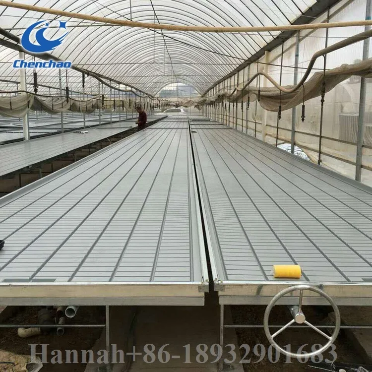 deep water culture system hydroponic ebb flow table