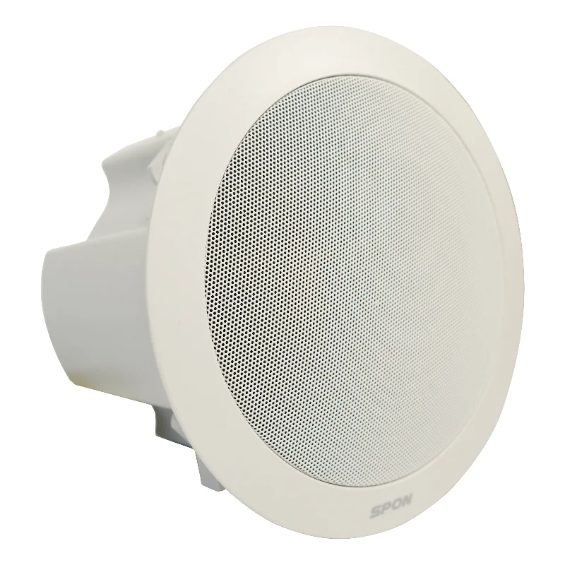 Cloud Retail Sound System Public Addressing PA System Solution for Retail Store