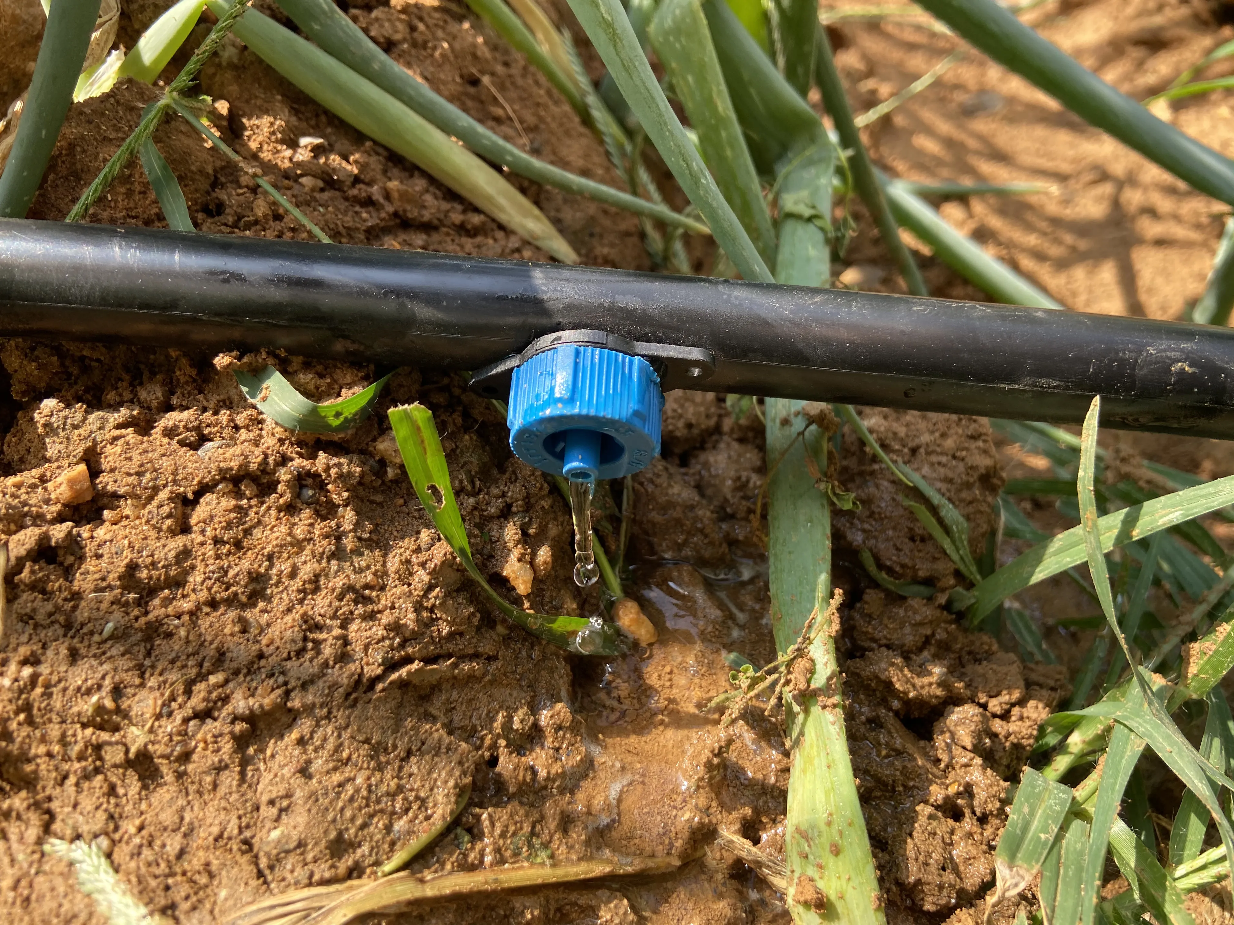 4L/8L Family Garden drip irrigation water dripper Pressure compensation dripper