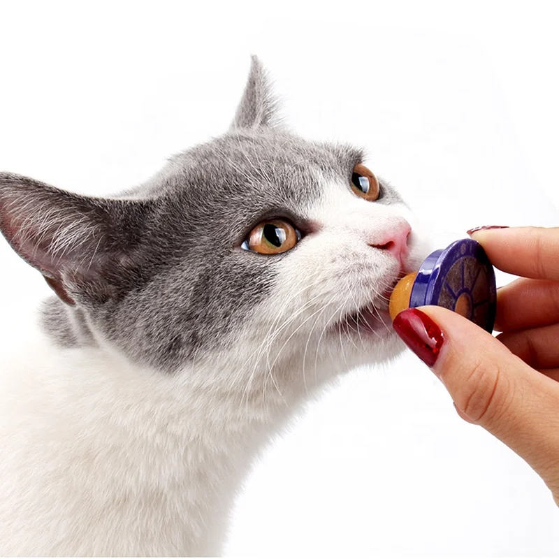 Nourishing pet cat snacks vigorously energy pill mint ball and cat candy licking