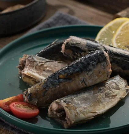Best Price Easy Open Canned Mackerel Fish Food