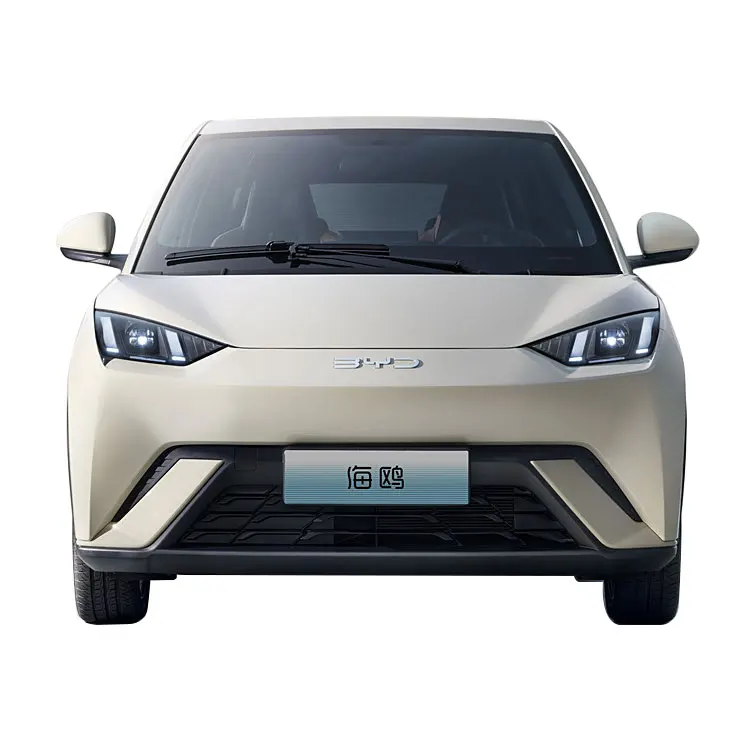 2024 Новый автолюбитель новый электрический внедорожник купить автомобиль с чайкой 2025 Евы продажа быдсеагюль мини эв