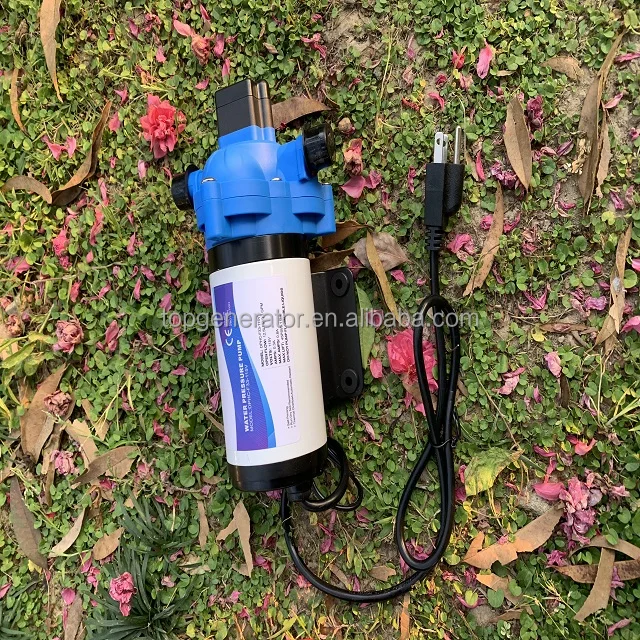 Marine spray agriculture micro electric diaphragm pump self suction water pump 220V AC