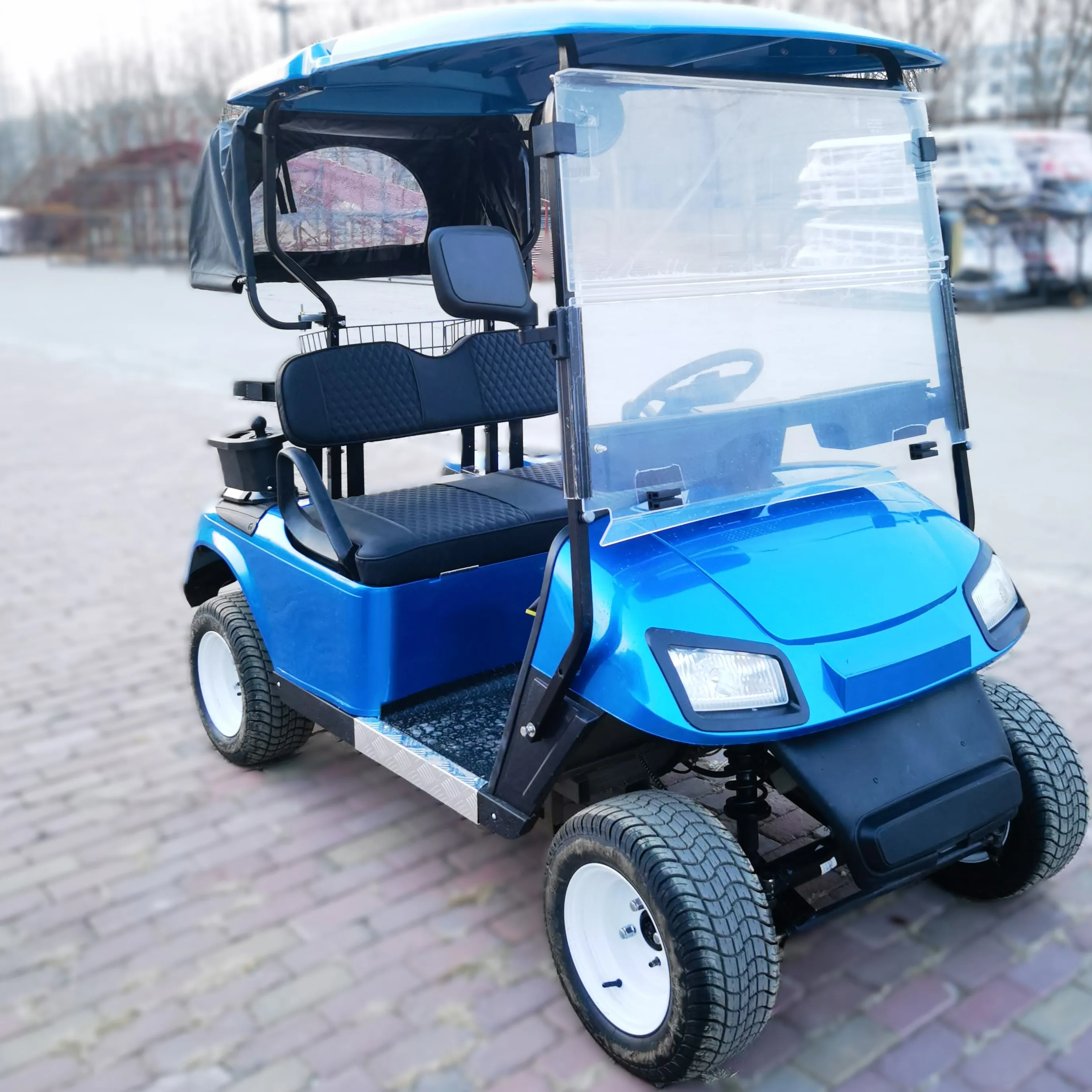 Tong Cai 2 Seater LSV 4 Person Electric Golf Cart With Lithium Battery mobility scooter vehicles carro electrico golf cars