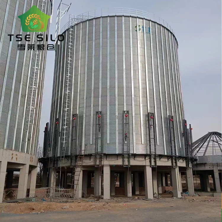 Soybean wheat paddy flat bottom  grain silo for farms