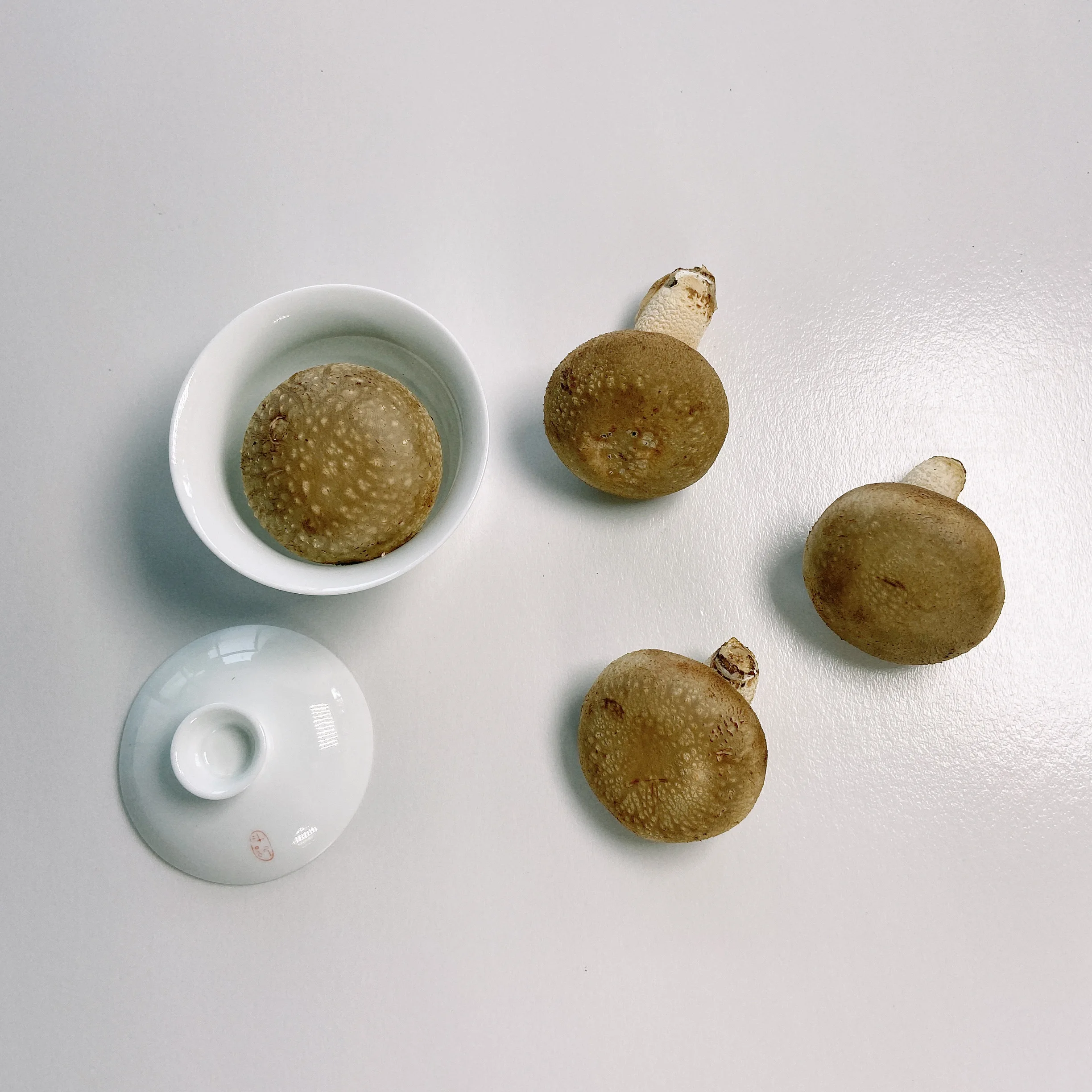 The Fine Quality Mushrooms Fresh Price Shiitake Mushroom For Supermarket