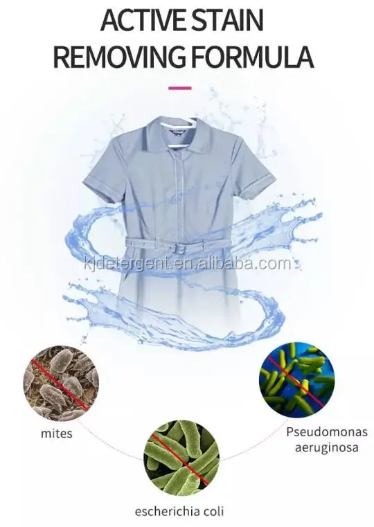 OEM Highly Active Lasting Fragrance Laundry Detergent Liquid Bulk for Washing Clothes