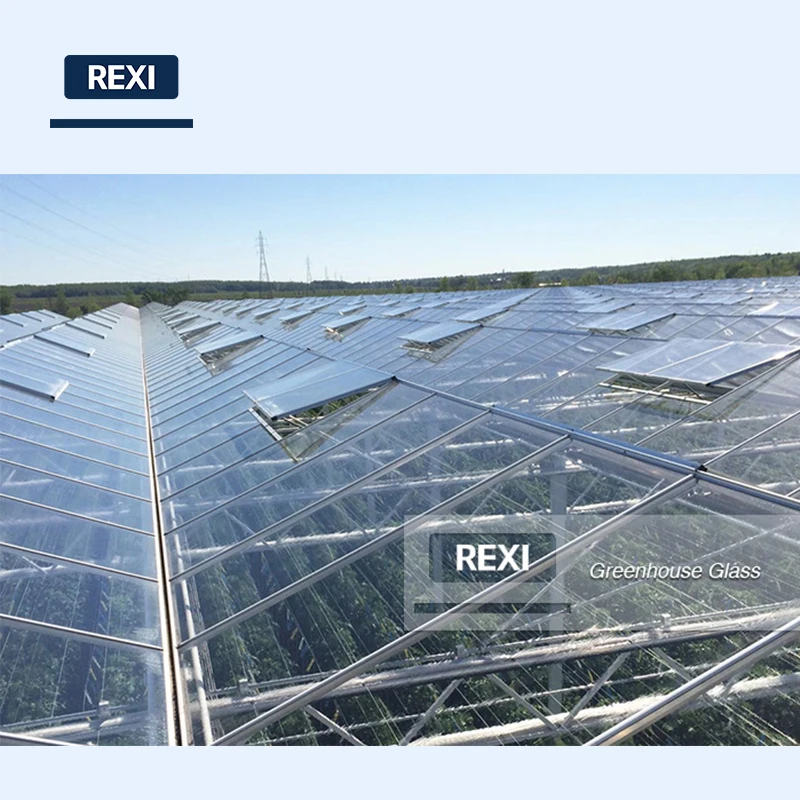 Закаленное стекло для теплиц с высоким коэффициентом пропускания 3,2 мм 4 мм