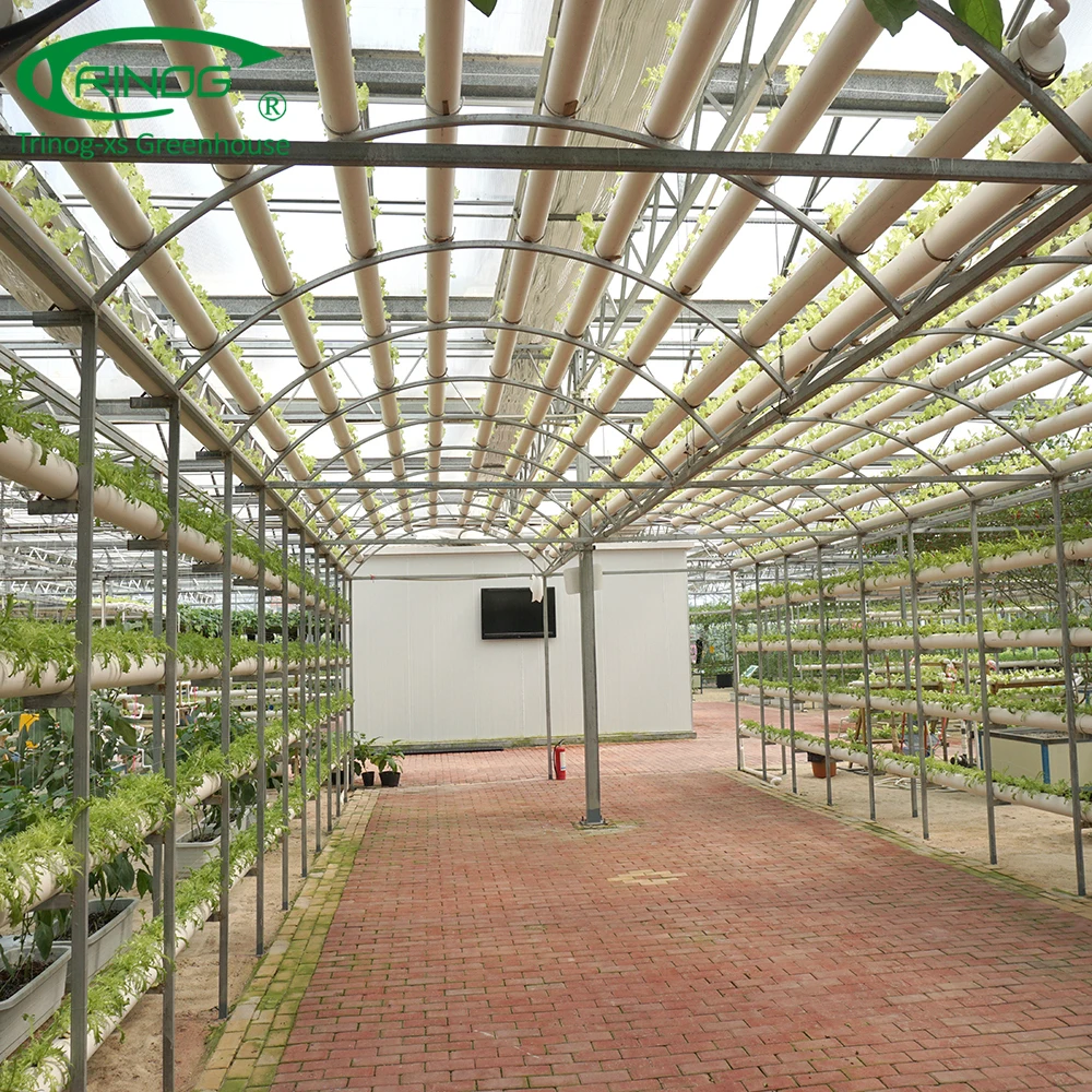 Double layer glass hydroponics greenhouse for cold weather