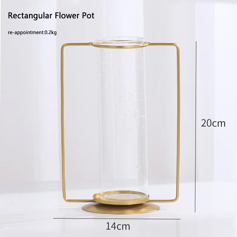 Plant Round Glass Bottle Hydroponic Glass Vase For Flower Or Water Plant With Metal Support For Home decoration