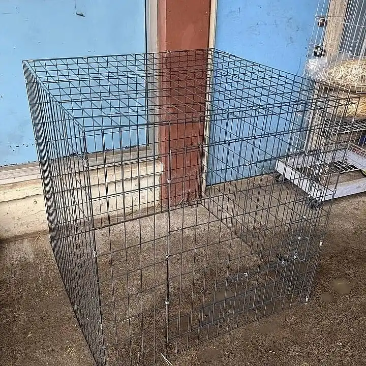 Flying pen for Chicken/Flying pens/  gamefowl fly Pens