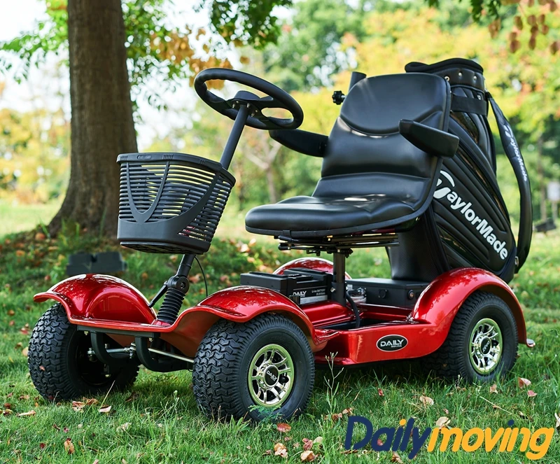 Mini Single Seat Electric Golf Buggy CE Certified Golf Cart