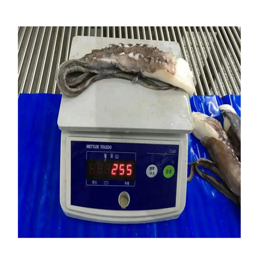 Good tasty freezing process frozen bqf giant squid tentacle,seafood processing for frozen squid tentacle