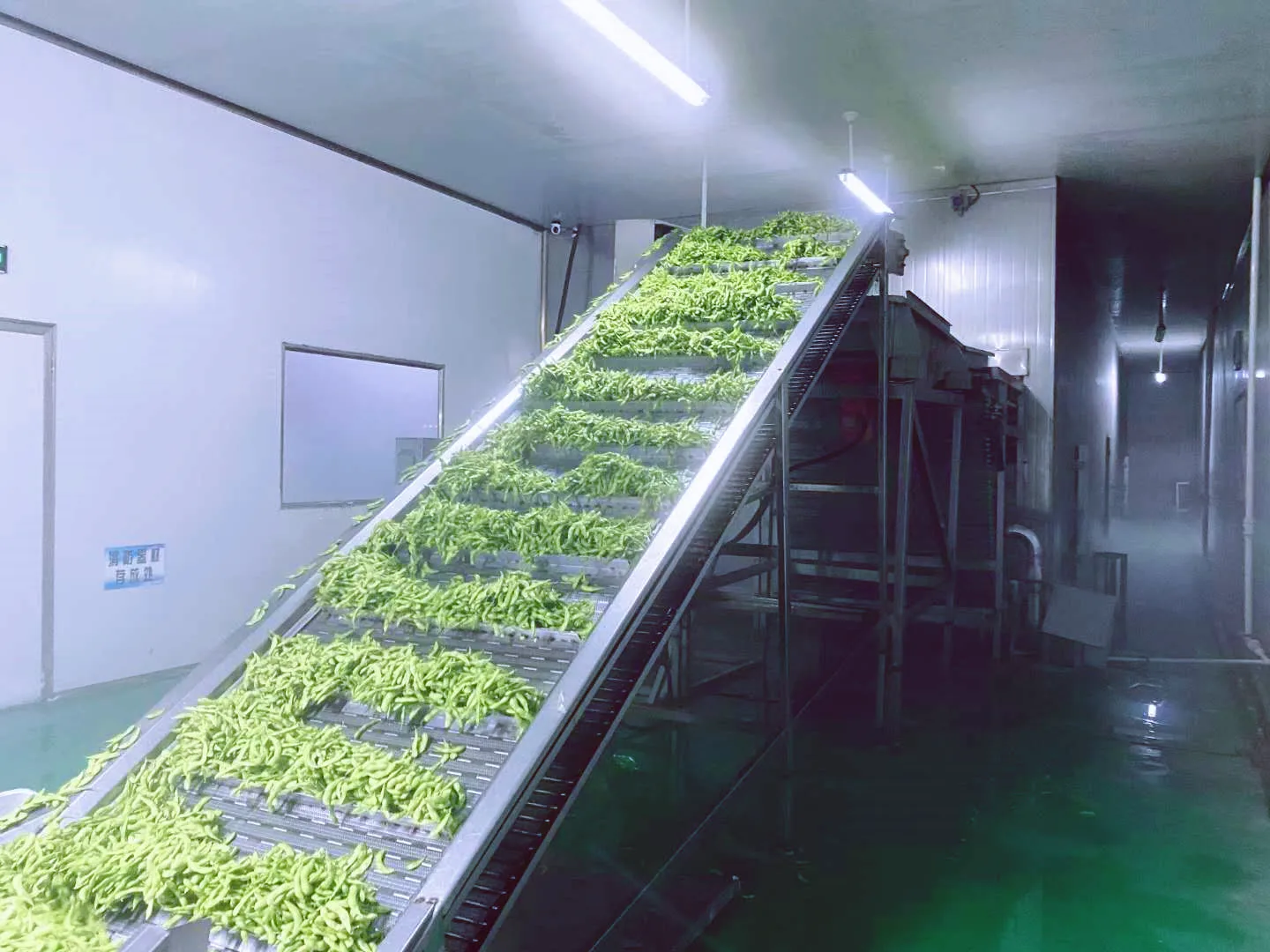 frozen edamame  frozen shelled edamame edamame bean frozen